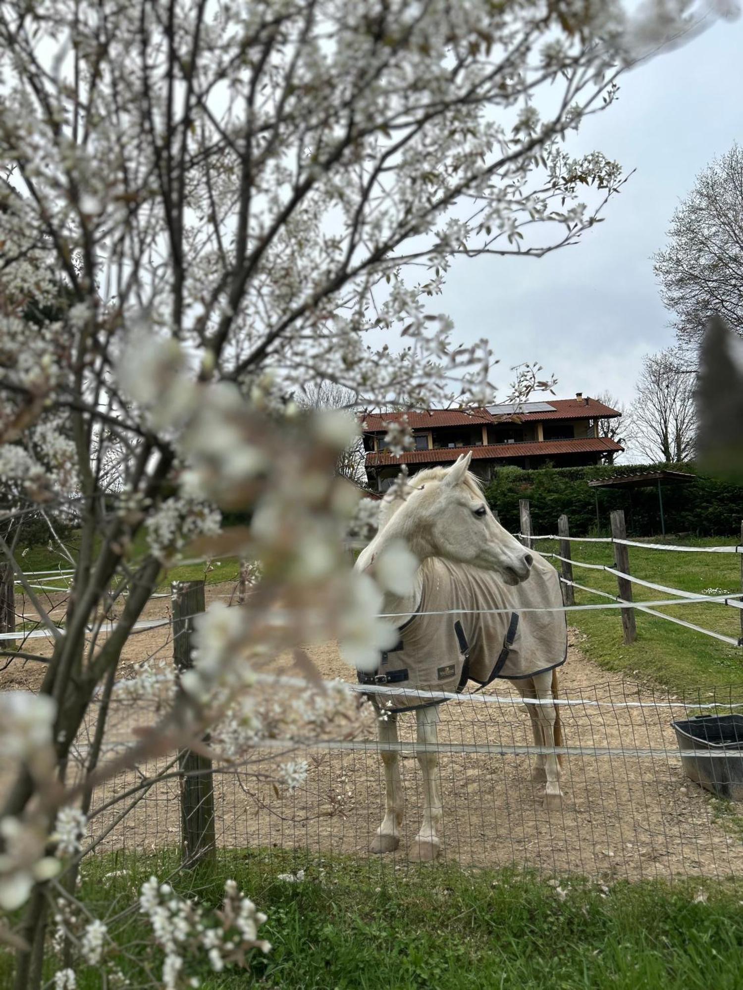 Varallo Pombia Bilocale In The Farm- Malpensa-Lago Maggiore מראה חיצוני תמונה